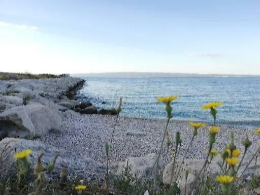 Apartment Paulina Split